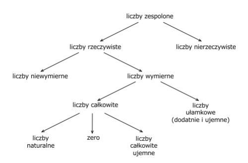 Klasyfikacja liczb